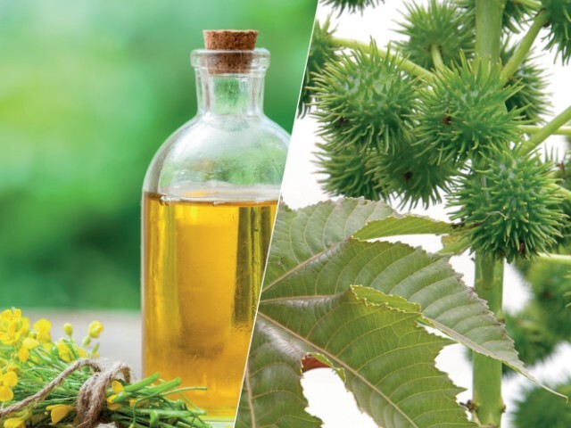 Bostik unveils Bio-based Specialty Hot Melt Adhesives | Assembly ...